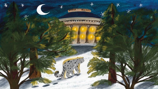 a wintery night scene drawing of a snow leopard walking in the snow towards the lit rotunda. There are pine/cedar trees on either side of the image